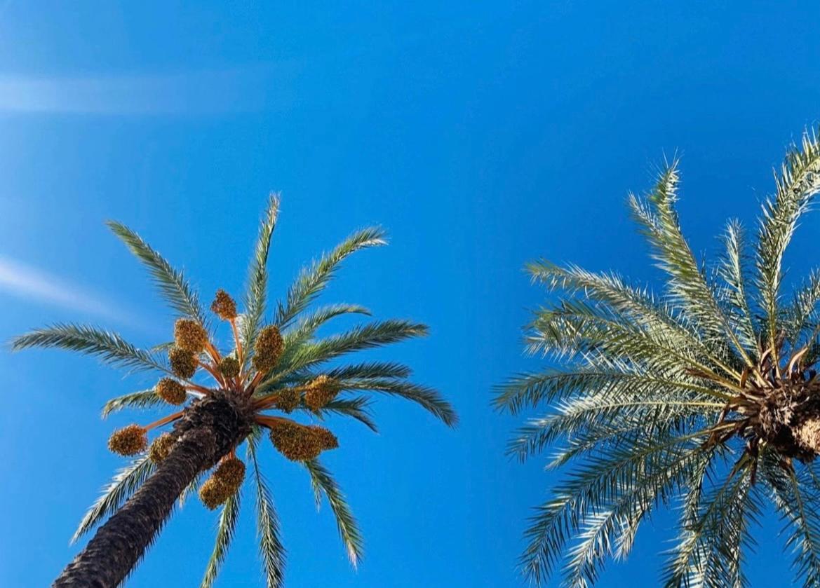 Апартаменты La Margarita Торевьиа Экстерьер фото